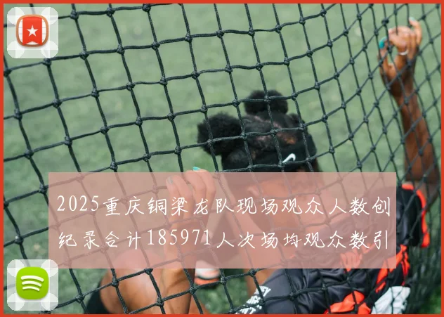 2025重庆铜梁龙队现场观众人数创纪录合计185971人次场均观众数引发热议