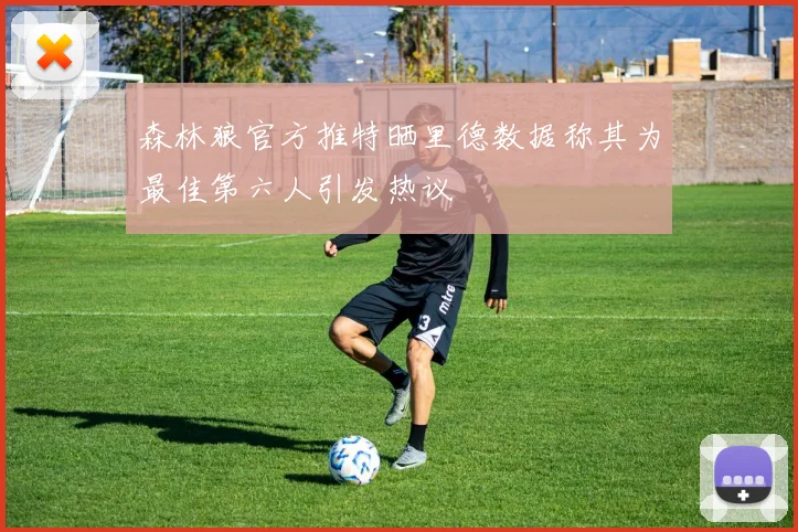 森林狼官方推特晒里德数据称其为最佳第六人引发热议